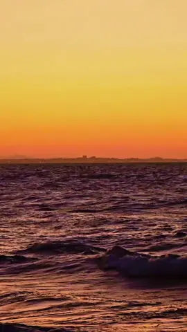 buen amigo entii ❤️💛 #curvasudtunisi #tunisia🇹🇳  #soliman #تونس_المغرب_الجزائر  #شعب_الصيني_ماله_حل😂😂 