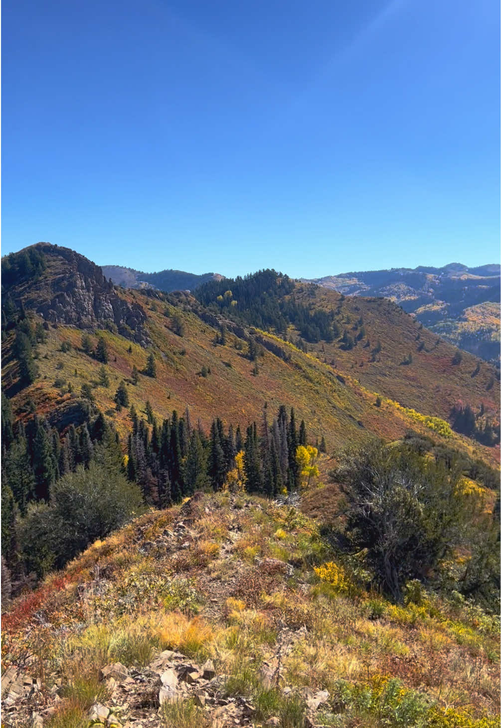 #mountains #fallcolors #Hiking #fyp #slc 