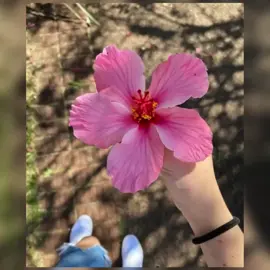 🌸🥰♥️🤗