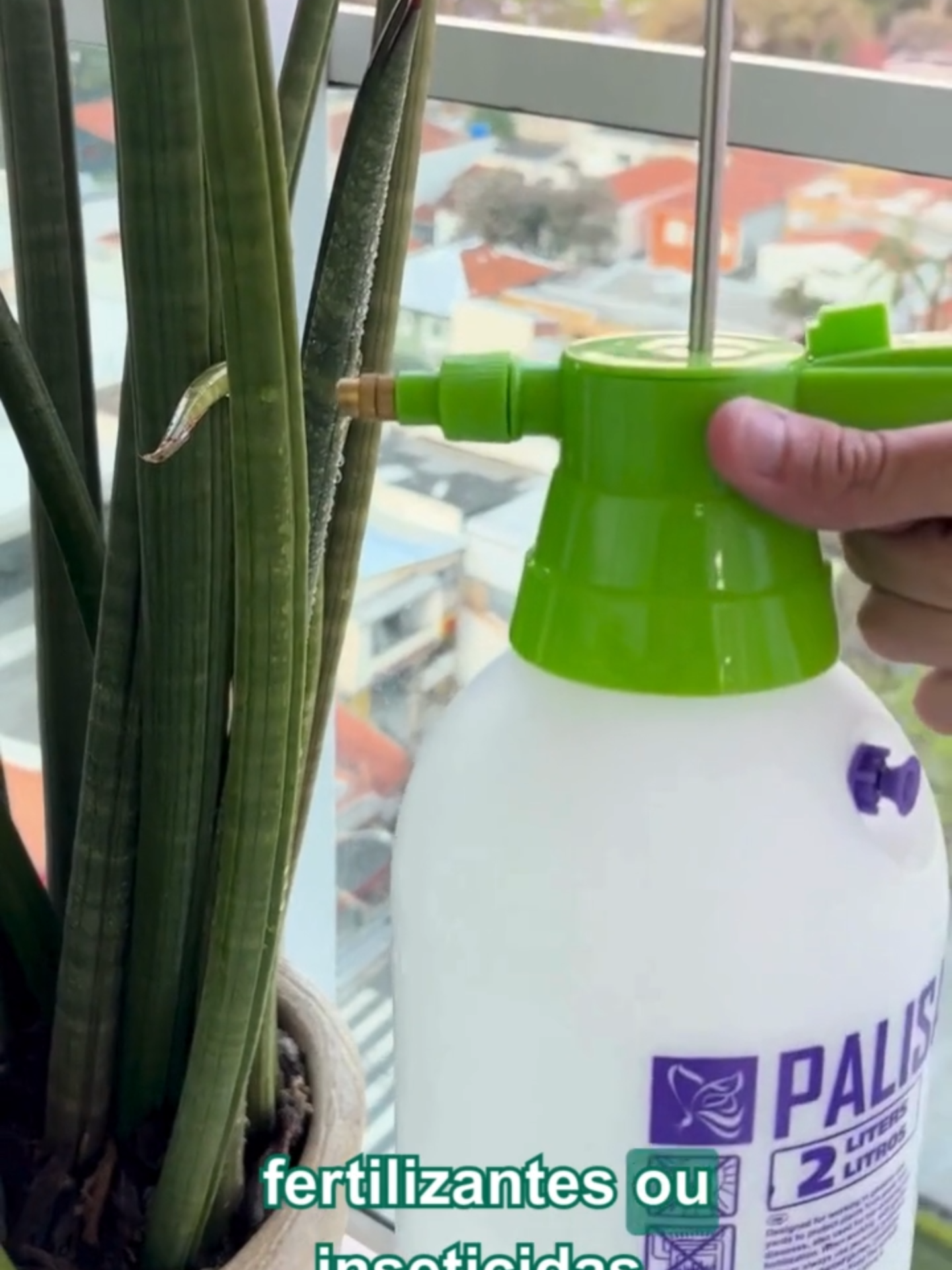 Pulverizador 2L Palisad #jardim #jardinagem #palisad #plantas #borrifador