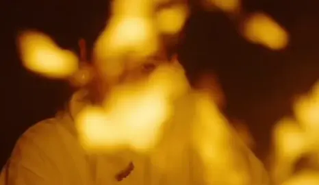 alexis you deserved so much more.  quick edit!! #waves #alexademie #girlblogger #laurapalmer #alexislopez 