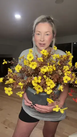 Why would you buy real flowers when you could have these🤷🏼‍♀️🤔🌼No stress, no mess #nomaintenance #flowers #artificialflowers 