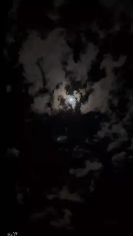 ولا_تخاف_الله_يحلها🤍 ✨..  #اكسبلورexplore #حركه_الاكسبلور🖤🔥،،، #انسيتكتوك #ترند_تيك_توك_مشاهير #الشعب_الصيني_ماله_حل😂😂 