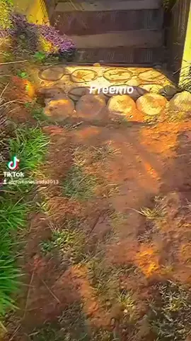 MI PAZ MI TRANQUILIDAD,🙏😋