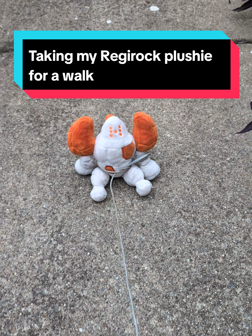 I used a Nintendo 3DS charger to film this 😭 he makes this sound because he's a rock type pokemon #pokemon #regirock #regirocktok #nintendo #pokemontiktok 