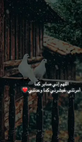 اللهم إني صابر كما أمرتني ،فبشرني كما وعدتني.