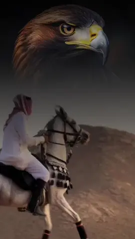 #أكسبلور_شعر_حكم_خواطر 