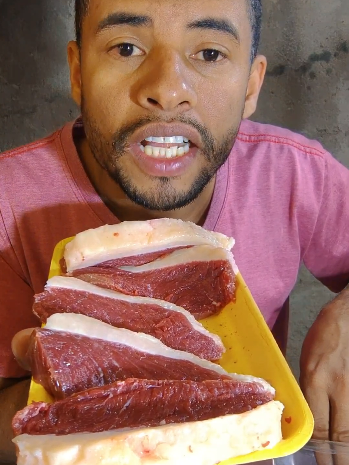 COMI PICANHA DO STITCH LILO 