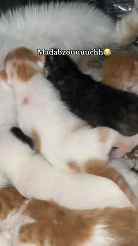 #fyyyyyyyyyyyyyyyy #foruyou #fyp 