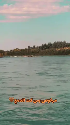 #مرخوص_بس_كت_الدمع💔 #ياس_خضر_ابومازن_صوت_الارض💖 #قرية_اللزاكة_نهر_دجلة_الحود #تصميم_فيديوهات🎶🎤🎬 #تصويري_احترافي_الاجواء👌🏻🕊😴 #متابعه_ولايك_واكسبلور_احبكم #صعدوو_ءڪڪسبلور_للايڪ_متابعه #سفره_سفوري_اويلي_يابه😂😂 #شعب_الصيني_ماله_حل😂😂 #أعادة_نشر🔃 #صعدو_الفيديو_حته_استمر #مالي_خلق_احط_هاشتاقات🧢 #تصويري📸اكسبلوور #