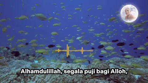 #santoq  #nasehatdirisendiri  #renungandiri  #pelajaranhidup 