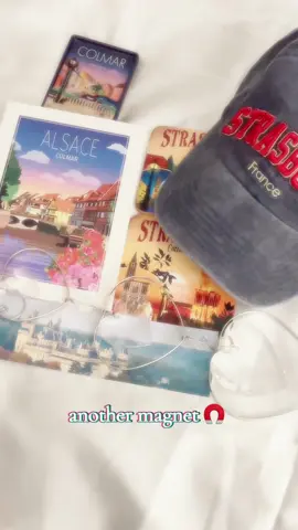 Definitely recommend these cities/towns for a visit #travel #traveltiktok #colmar #tourist #strasbourg 