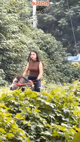 gerakan nya kencang sekali😁#bismilahfyp 