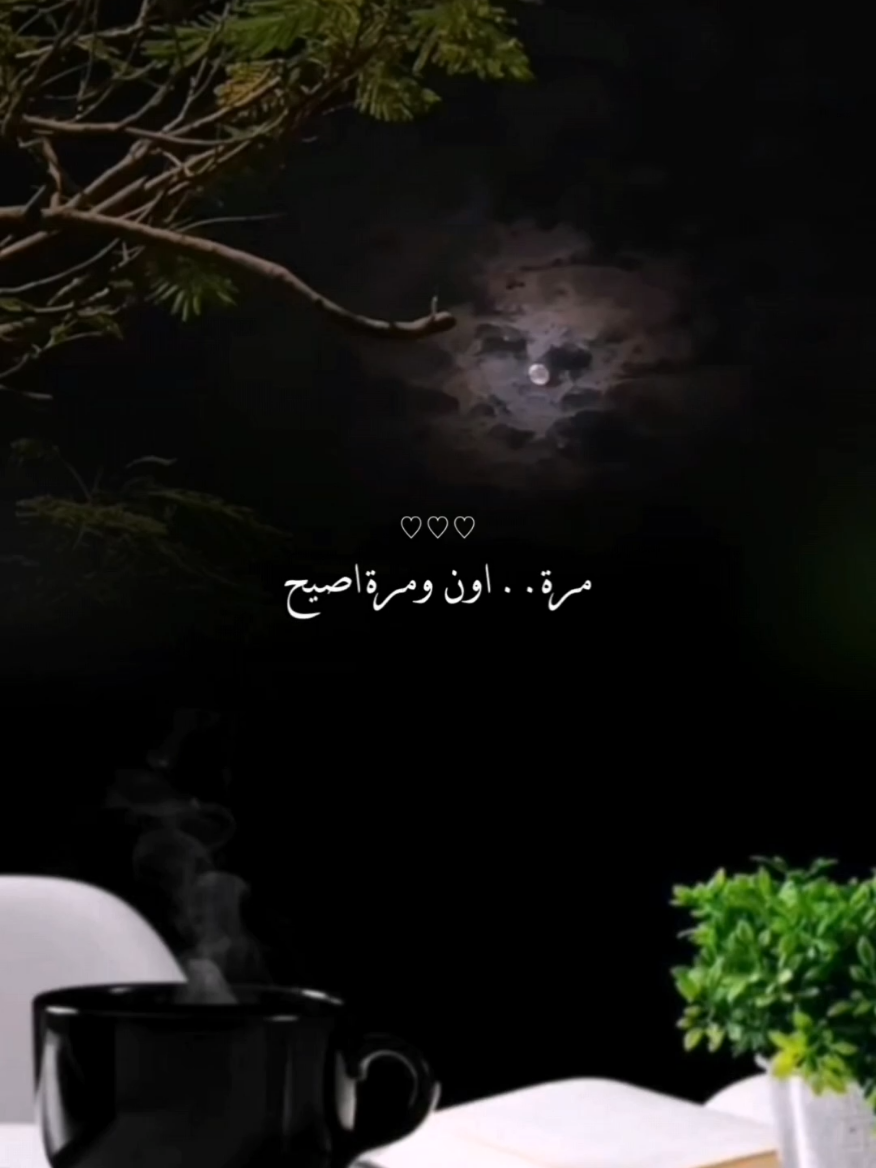 مايلام اللي يسهر عشانك 😒 #CapCut  #مره  #اريام #شوفتك  #مالي_خلق_احط_هاشتاقات 