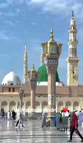 #miladrazaqadri #naat #yanabi #nasheed #fyp 