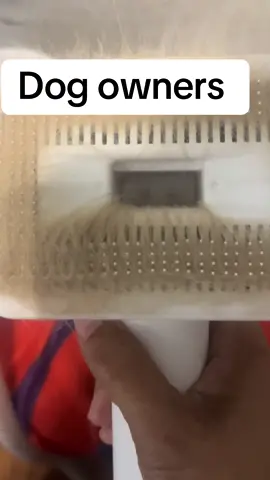 This has been such a huge help with my shedding dogs #dogowners #godmom #shepherd #husky #dogsoftiktok 