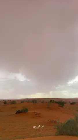 اللهم ارحم موتانا و موتى المسلمين 🍃. {#امل_الفرحان#يارب_اكسبلور#حائل}