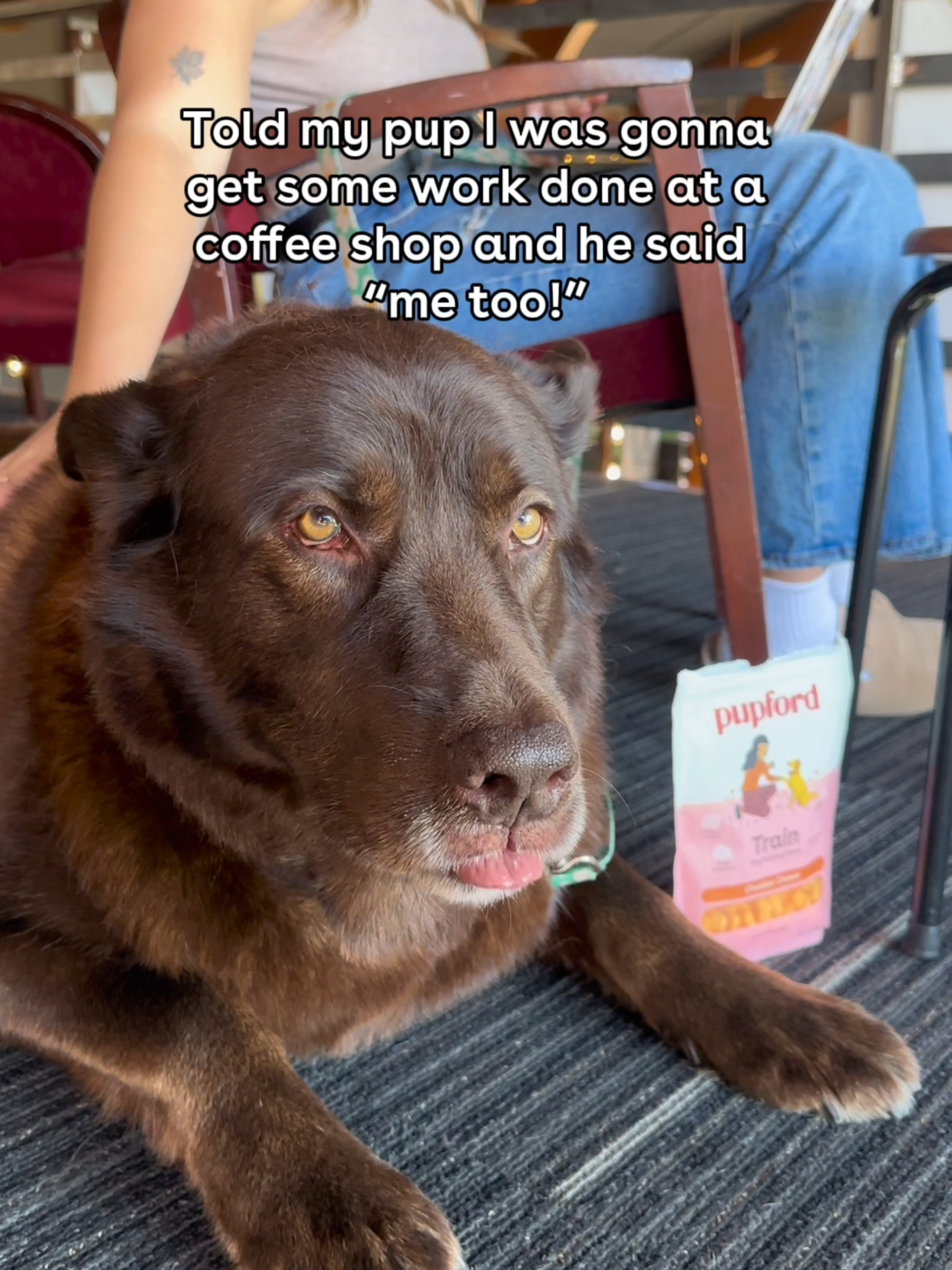 Train when coffee happens 😌☕️ #pupford #trainwhenlifehappens #citydog #dogroutine