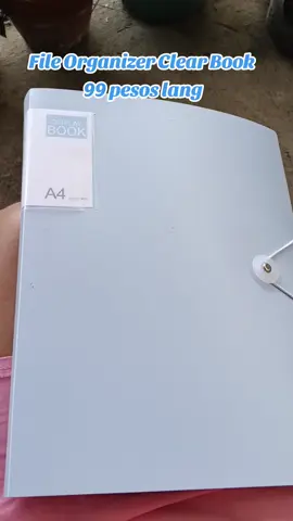 Clear Book Long File Organizer