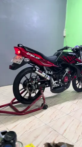 Pesona zebra 30jt an ##ninjass #ninja2tak #2taklovers #tkitaiwan #tkijepang🇯🇵 