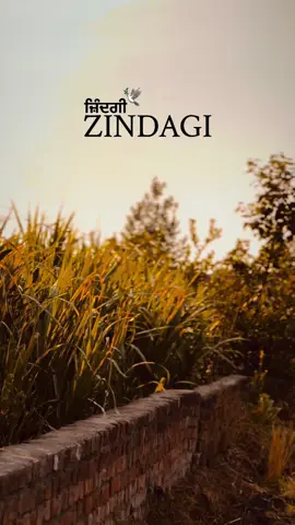 #punjabishortvideos #punjabitiktok #viraltiktok 