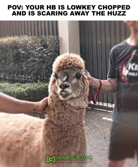 He looks like a Alpaca 😭 || Tag that one bro 💀@Marlon // #marlon #relatable #mog #streamer #edit 