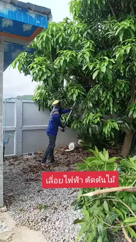 เลี่อยไฟฟ้า#เลี่อยไฟฟ้า #เครื่องตัดกิ่งไม้ไร้สาย #makita #เครื่องมือเกษตร #TTSร้านใหม่ลดแรง 