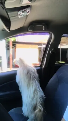 Missing you so much 😔❤️