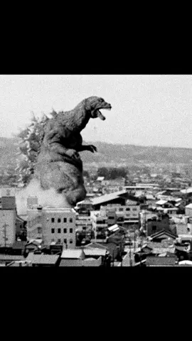 Bro was a demon #edit #godzilla #gmkgodzilla #fyp #viralvideo 