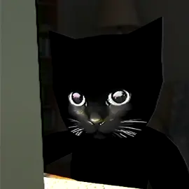 me every night #catsoftiktok #cats #kitten 