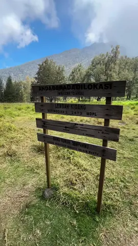 Majestic of lembah kidang gunung arjuno⛰️. #arjunowelirang #arjuno3339mdpl #lembahkidang #pendakigunung #pendakiindonesia #4u 