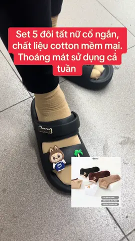 Tất nữ cổ ngắn #phunu #tatnucongan #tatnucaoco #thoitrang 