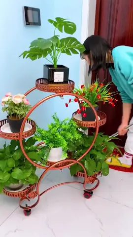 Kệ để chậu hoa cảnh 6 tầng #kedechauhoacaycanhtrongnha #xuhuongtiktok #kedechauhoacaycanh 