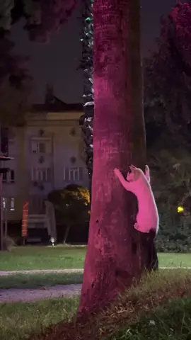 Nasıl kontrol ediyor birde deli 😂😂