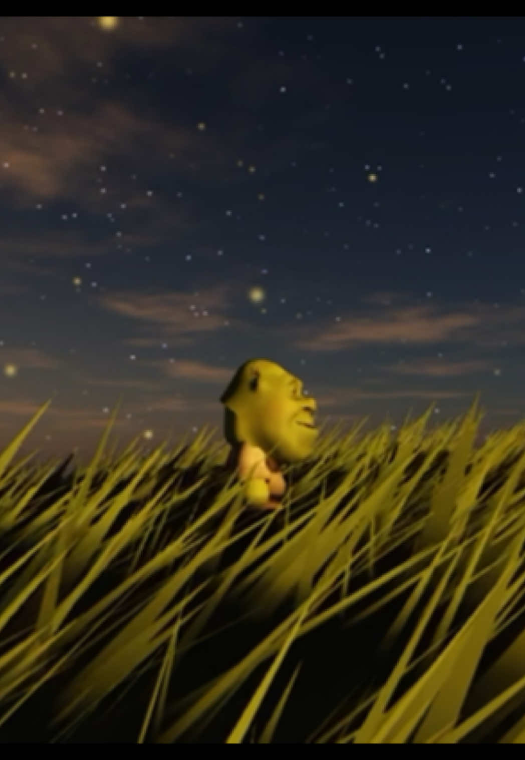 Is that the way we stand?😔 #shrek #linger #thecranberries #sad #yearning 