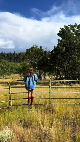 A slow Sunday morning in the garden, early signs of Autumn tucked amongst the mountains, & a cozy home cooked meal #minivlog #videodiary #slowliving 