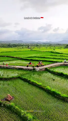 jaran ponggok merupakan tradisi suku sasak lombok ketika nyongkolan , selain nyongkolan jaran ponggok juga digunakan saat sunatan  #lombok #tradisisasaklombok #begawe #adatsasak #fyppppppppppppppppppppppp 