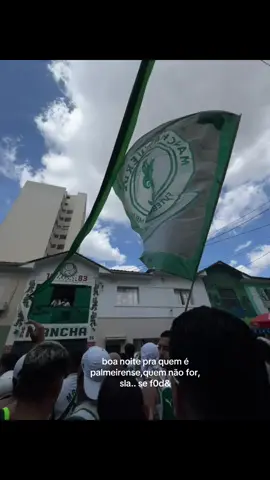 #palmeiras #manchaverde #wlw 