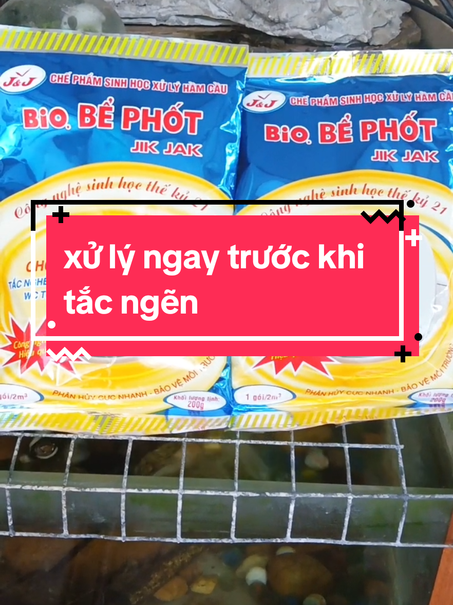nếu nhà vệ sinh có những hiện tượng xả nước thoát chậm mùi hôi bốc lên thì bổ sung ngay cái gói men vi sinh xử lý bể phốt bio này nhé để giúp bổ sung thêm men vi sinh tiêu hầm giúp phân hủy nhanh những chất thải hữu cơ mà ko gây ăn mòn đường ống an toàn khi sử dụng chi phí thấp hiệu quả cao #menvisinh #menxulybephot #giadung #thinhhanh #thongtacboncau 