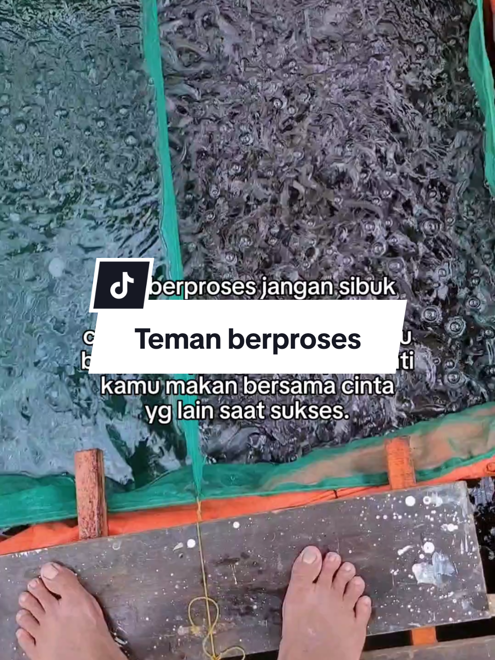 Fokus pada proses... #bosmuda #perintisbukanpewaris #suksesbutuhproses #budidayaikanlele #budidayalele 