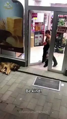 If you can be anything in this world - be kind.🫶🏻🥹#animals #bekind #wholesome #Love #heartwarming #animallover #fyp #foryou 