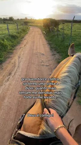#fyyyyyyyyyyyyyyyyyyy #cavalo #deus_no_controle #vaquero 