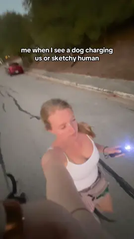 taser > pet corrector ⚡️