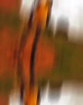 #?🇧🗫💐💐🂐🇧🇫🇧🇫🇧🧫🥰🥰🥰?❤️❤️🫂❤️❤️?💕?