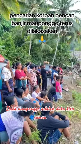 Terimakasi banyak kepada semua pihak yang suda membantu dengan caranya masing2 #prayformauponggo #savetnipolri #savebasarnas #pemkabnagekeo #pemprovntt 