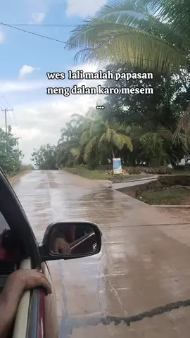 siapa aja nih yang pernh kerja di sini, ada yang kangen gk?? 😄  #PT_Borneoindahmarjaya  #fypシ゚  #kalimantantimur