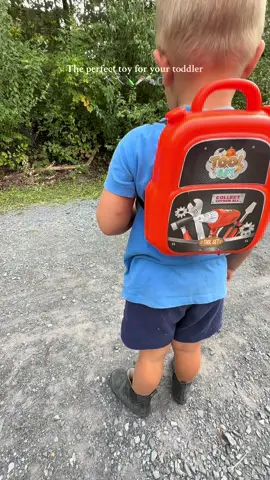 The perfect birthday or Christmas gift for a toddler! My son was obsessed with this!! #toddlergiftideas #toddlertoys #toddleractivities #toddlerfinds #boymomlife 