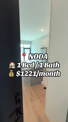 This place said: ✔️ Tall ceilings ✔️ Big windows ✔️ Rent under $1,300 …are you still scrolling or what? ————————————— 🏠 1 Bed / 1 Bath 💰 Market Rent: $1,487 ⚡️ Rent after specials: $1,221/month ————————————— #apartmenttour #fyp #apartmenthunting #apartments #charlotte 