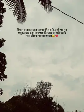 বিশ্বাস করো তোমাকে অনেক মিস করি একটু পর পর শুধু তোমার কথা মনে পড়ে কি ভাবে থাকবো আমি সারা জীবন তোমাকে ছাড়া!😅💔#foryou #foryoupage #Camilla #TikTok #fupシforyou @TikTok @Tamim 