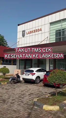 Memenuhi Persyaratan PPPK Paruh Waktu dalam pengisian DRH. #PPPK #p3kguru #paruhwaktu #persyaratanpppk #creatorsearchinsights 
